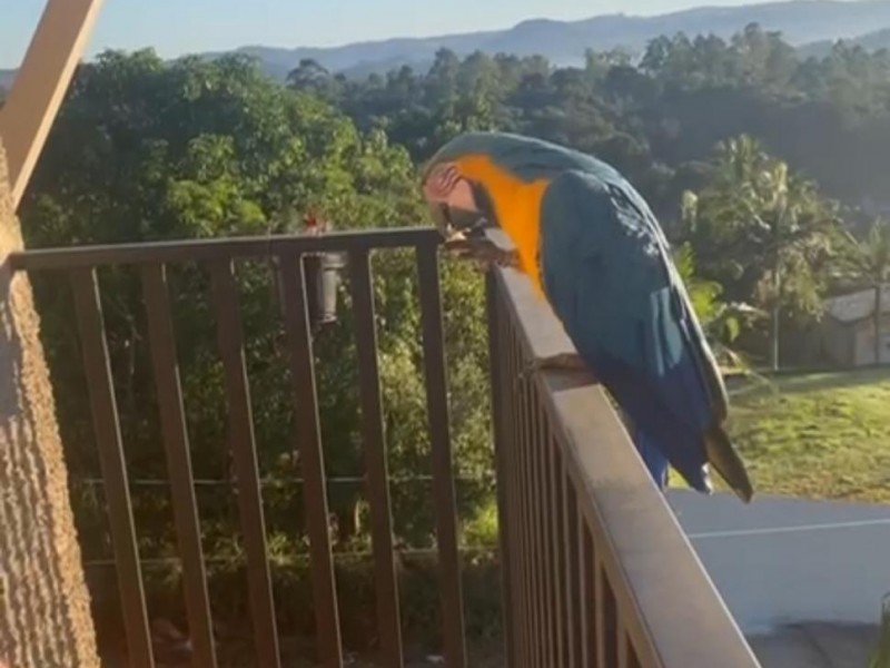 CHACARÁ COM LINDA CASA