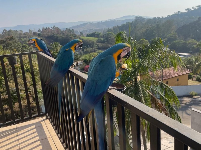 CHACARÁ COM LINDA CASA