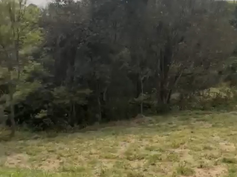 TERRENO SÃO SILVANO + PROJETO